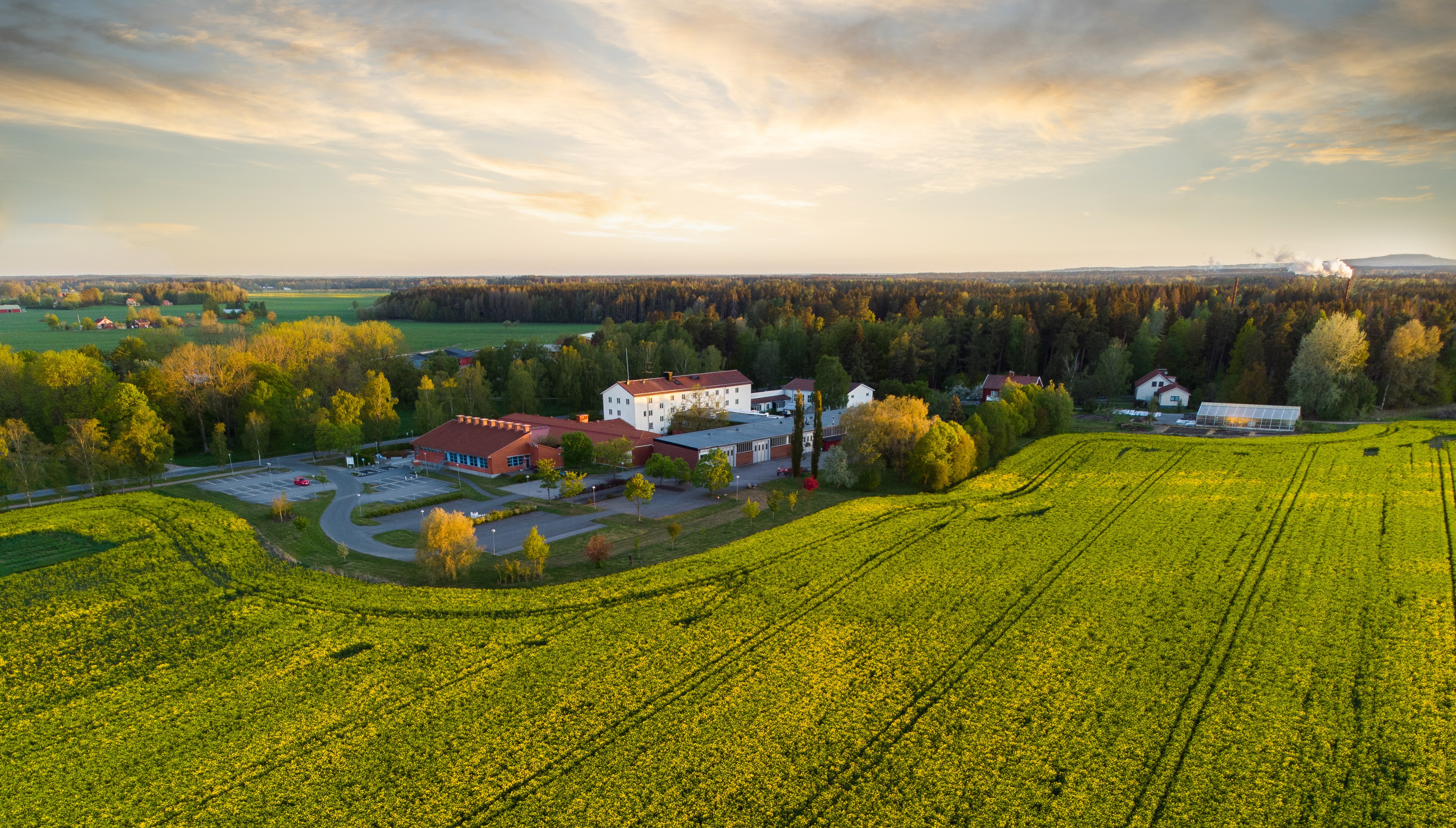 Drönarbild över skolområdet med horisont