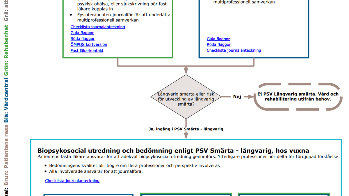 Detalj ur flödesschema PSV Smärta - långvarig hos vuxna