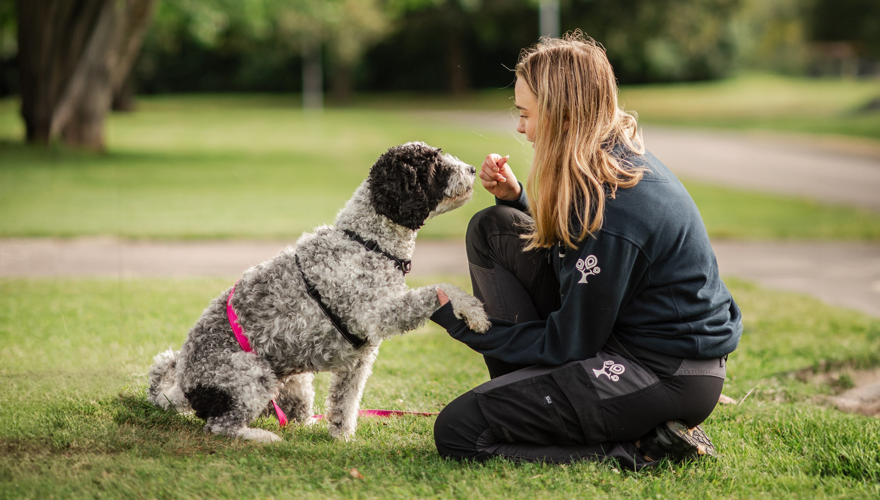Elev sitter ned i gräset och håller i tassen på en hund