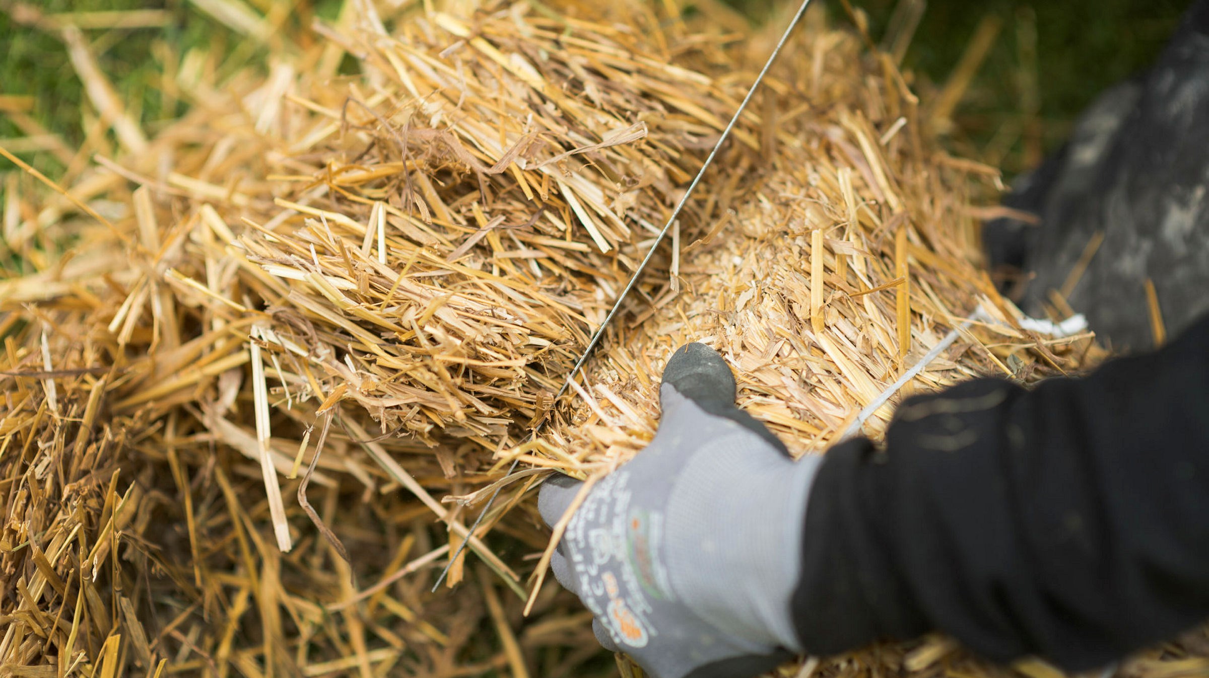 Ingen beskrivning tillgänglig