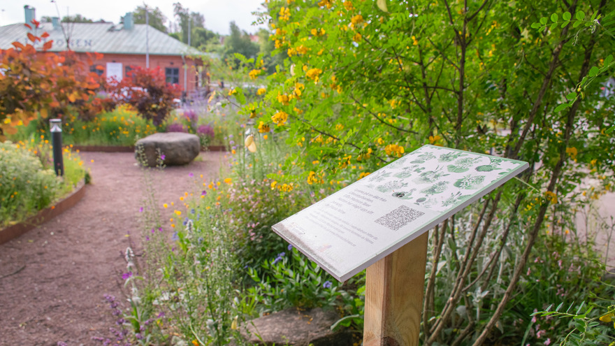 I en rabatt med blommande perenner och buskar står en liten skylt på en stolpe. Det syns inte vad som står på skylten. En grusgång går genom den gröna oasen, längre bort i bild finns en röd tegelbyggnad.