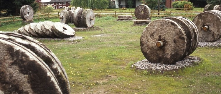 Kvarnstenar på äng.