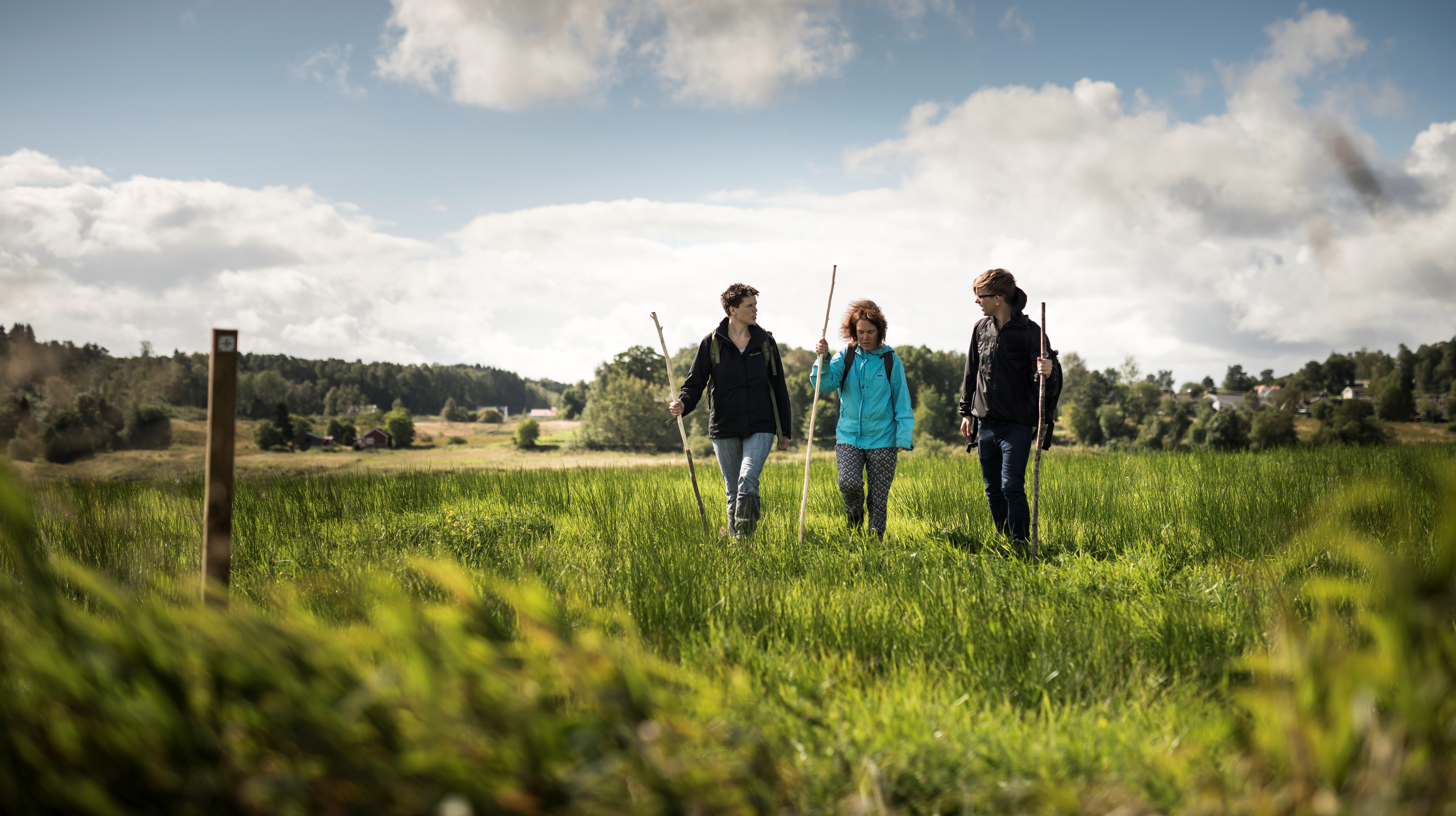 Ingen beskrivning tillgänglig