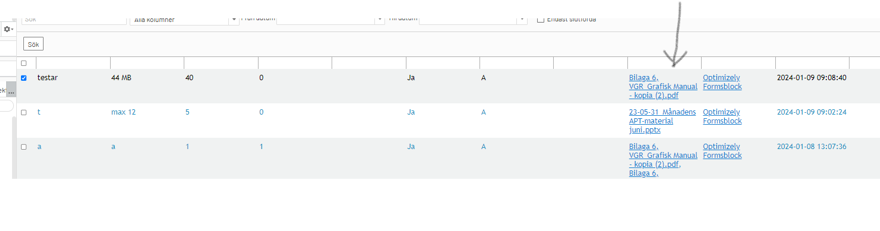 Skärmklipp från Optimizely. en blå bock framför ett av de inskickade svaren som visas i formulärdata.
