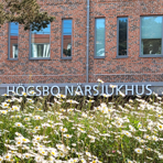 Ängsblommor. Bakom dessa syns skylten Högsbo närsjukhus.