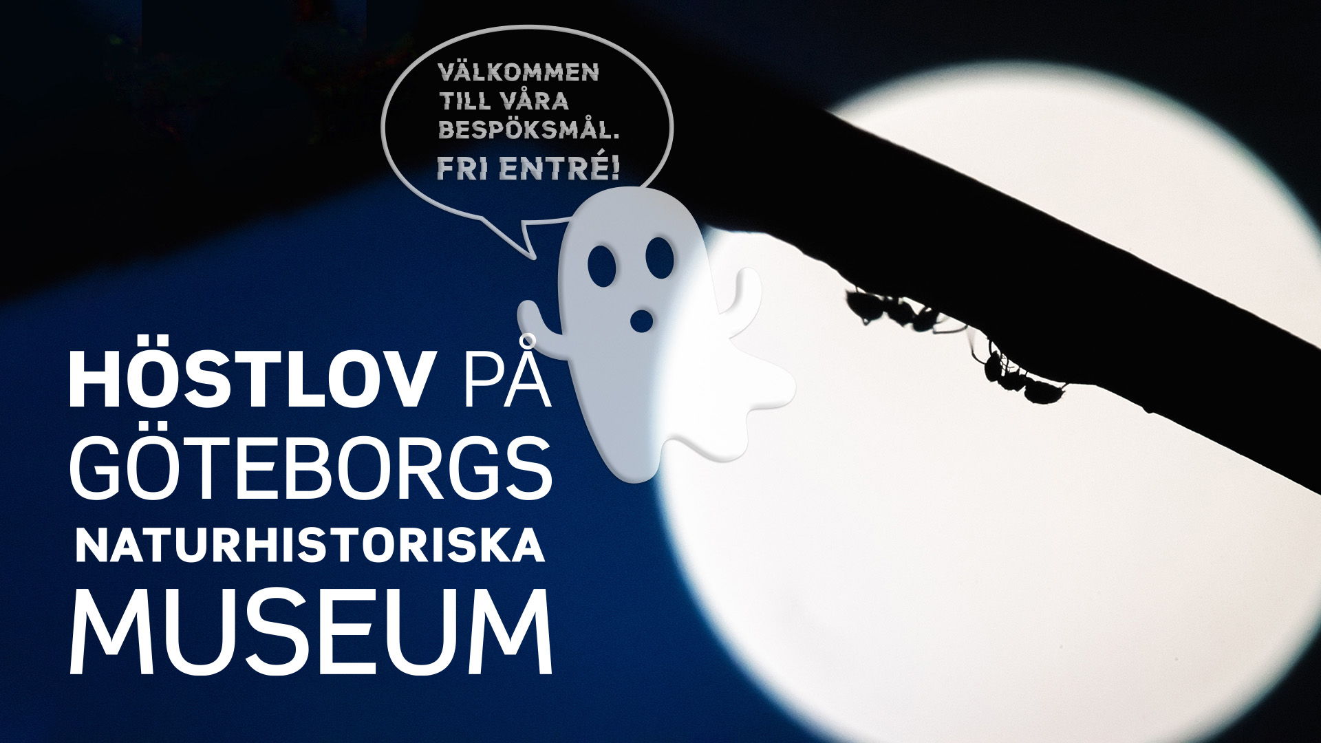 Ingen beskrivning tillgänglig