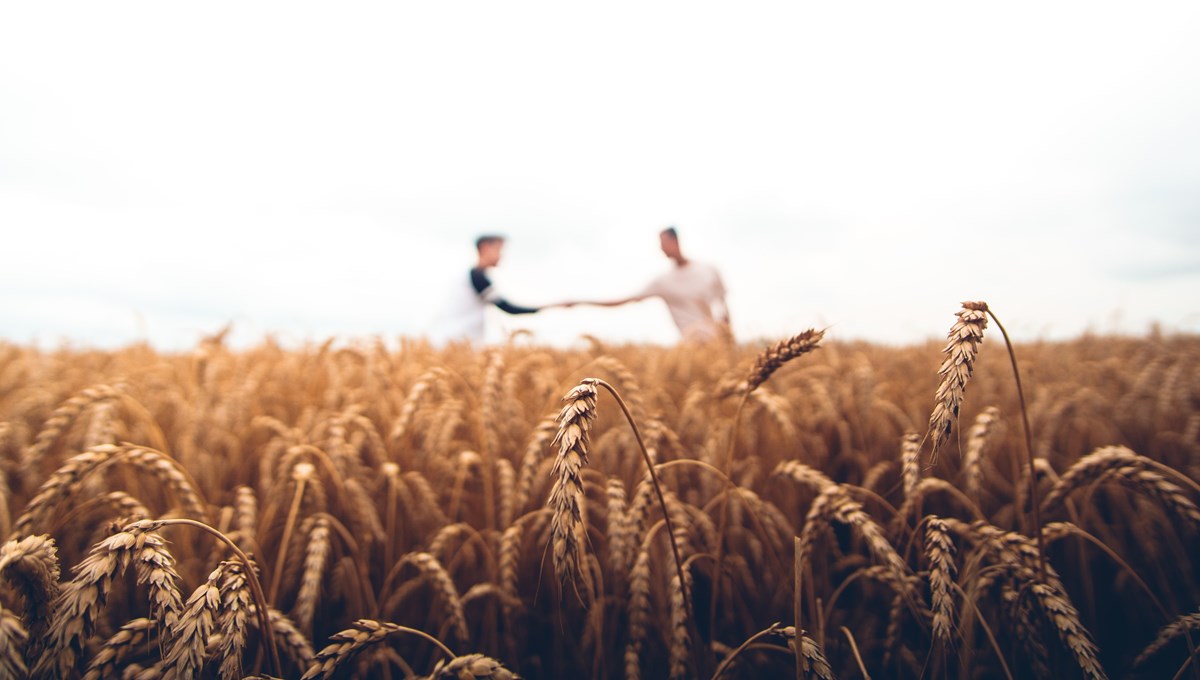 Två personer tar i hand i bakgrunden med vetefält framför