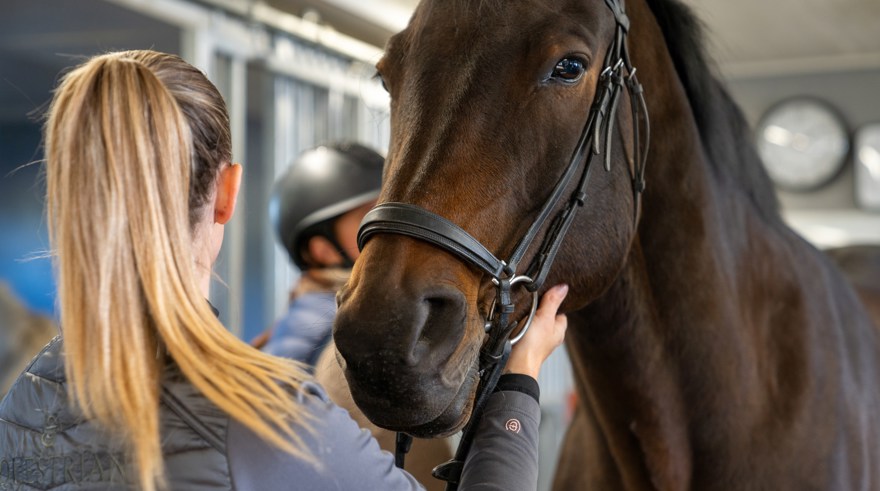 Två elever sköter om en häst i stallmiljö