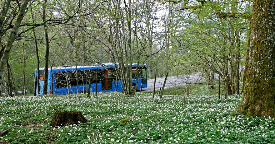 Buss från Västtrafik