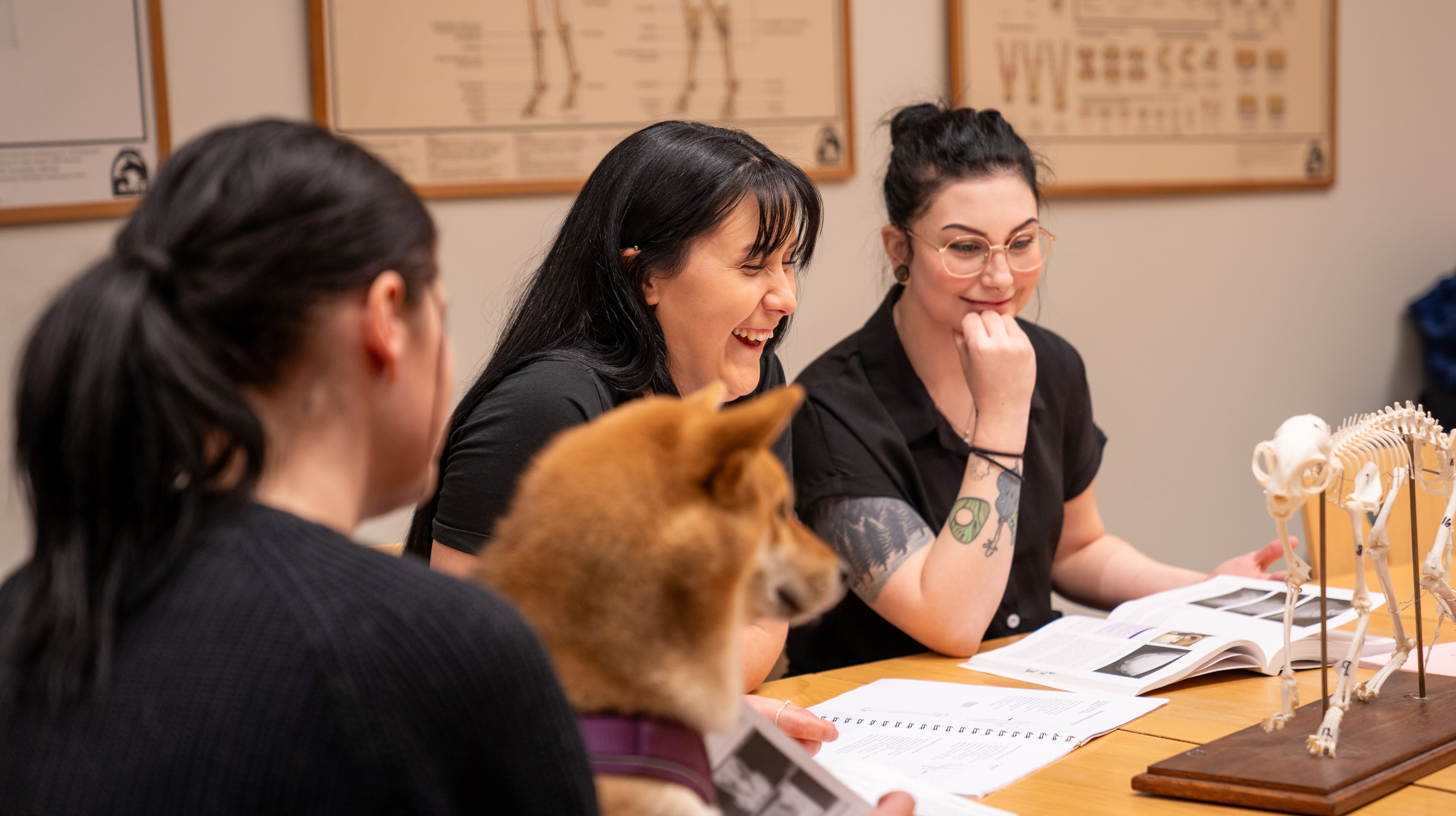 Tre djurvårdelever pluggar med djur