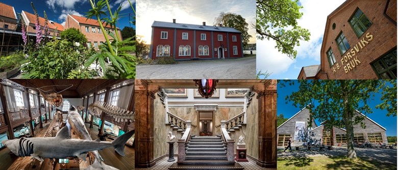 Ett kollage av 6 bilder. Ett hus bakom grönska, ett rött hus i snölandskap, AB-forsviks bruk, en haj på ett museum, en trappa och tre spetsiga trähus