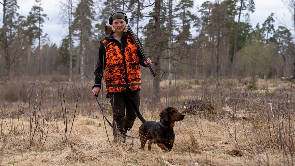 Jaktelev med hund promenerar i skogen med gevär över axeln