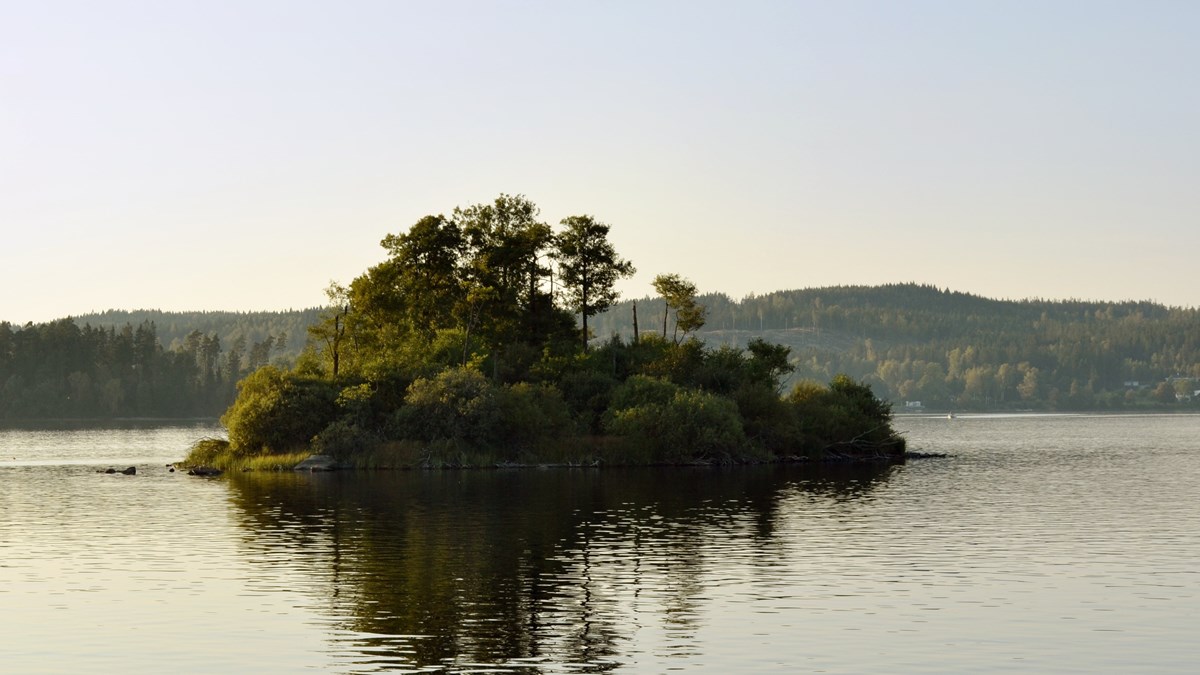En ö med träd står i ett stilla vatten