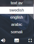 svensk, engelsk, arabisk och somalisk text