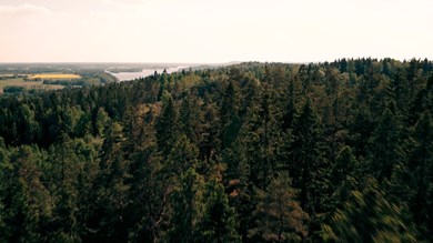 Skog och sjö över Kroppefjäll.