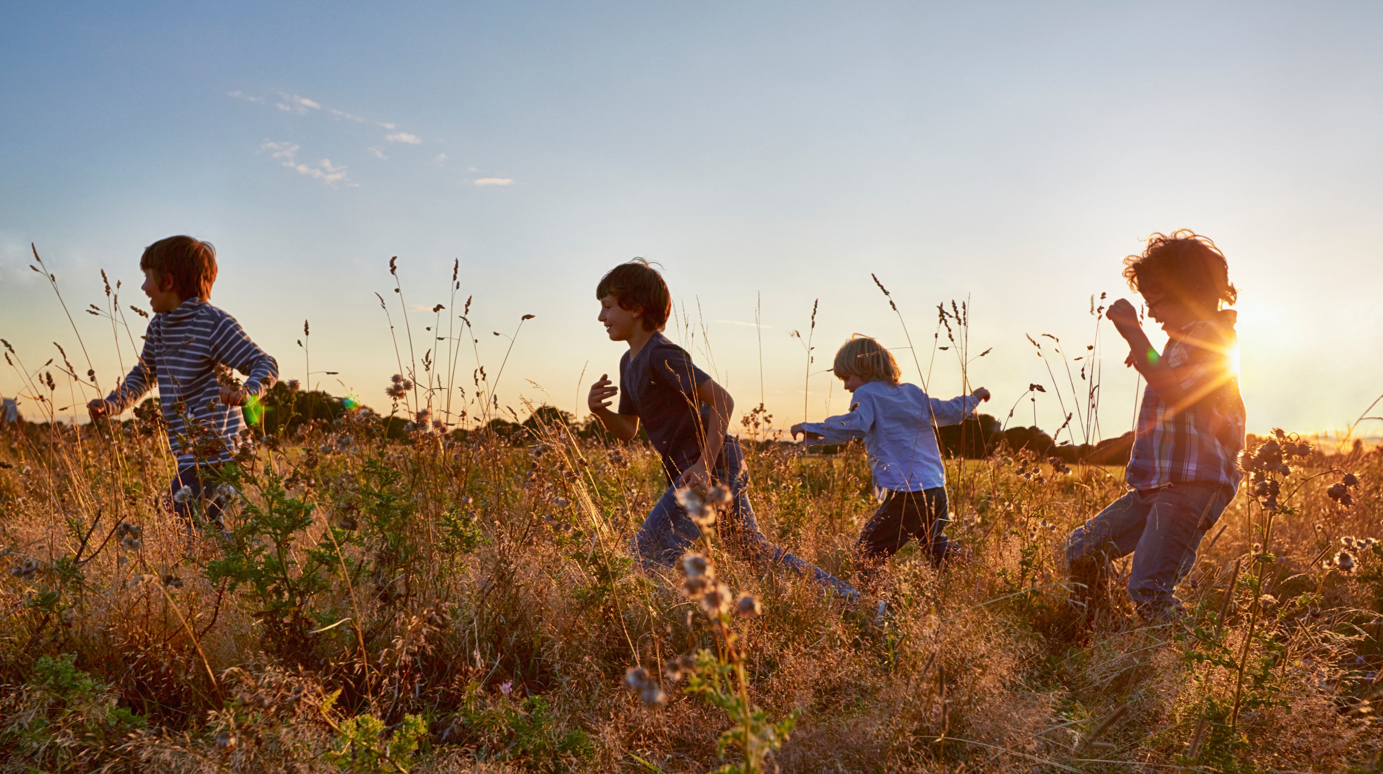 Bilder avsedda för att illustrera hållbarhetsmål Avsedd för att illustrera hållbarhetsmål