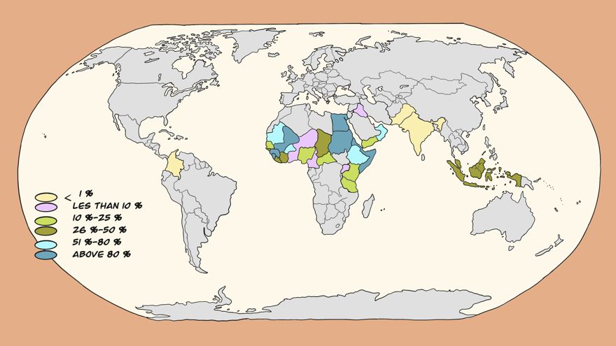 Karta mot orange bakgrund där länder med stor förekomst av könsstympning är markerade