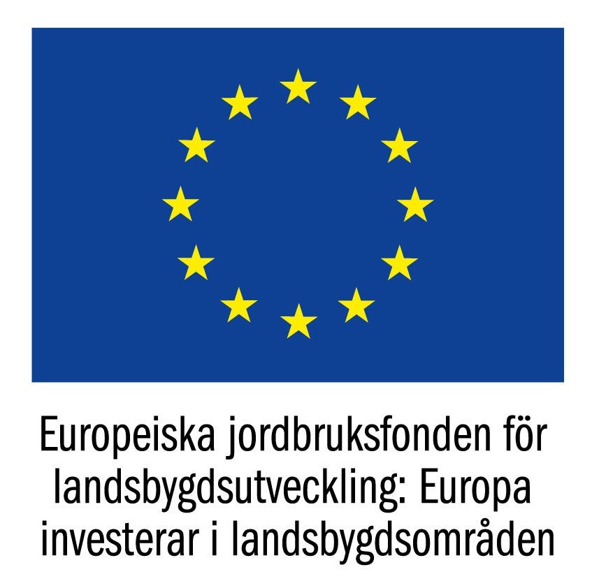 Logga för Europeiska jordbruksfonden för landsbygdsutveckling, EU-flaggan