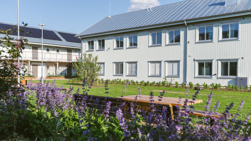 Internatbyggnad med växter framför