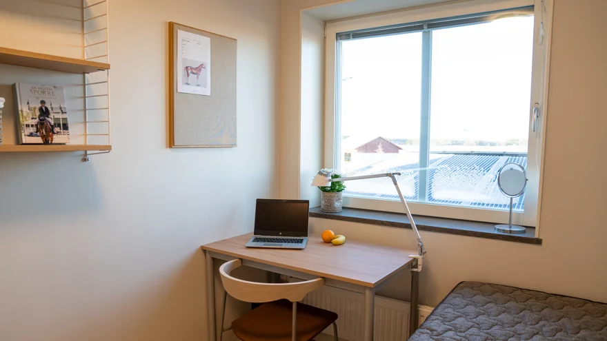 Möblerat internatrum med stort fönster, skrivbord, säng och vägghylla