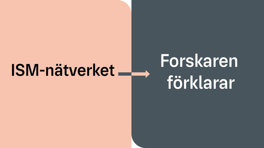 Text på platta ISM-nätverket pil Forskaren förklarar