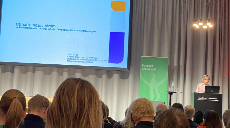 En kvinna föreläser med powepoinbild intill och bakhuvuden från publik