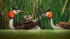 Bilder som tillhör filmhandledningar på Kulturförvaltningen VGR.