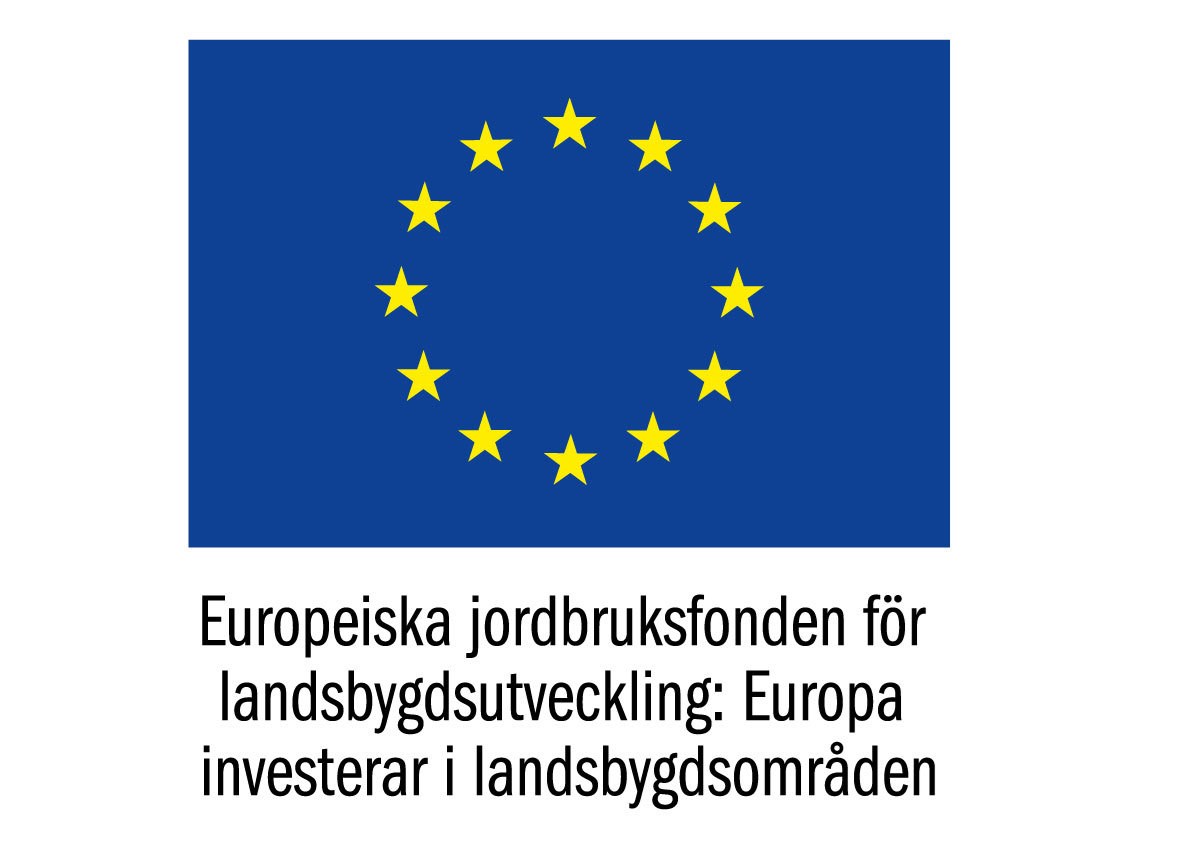 Logga för Europeiska jordbruksfonden för landsbygdsutveckling