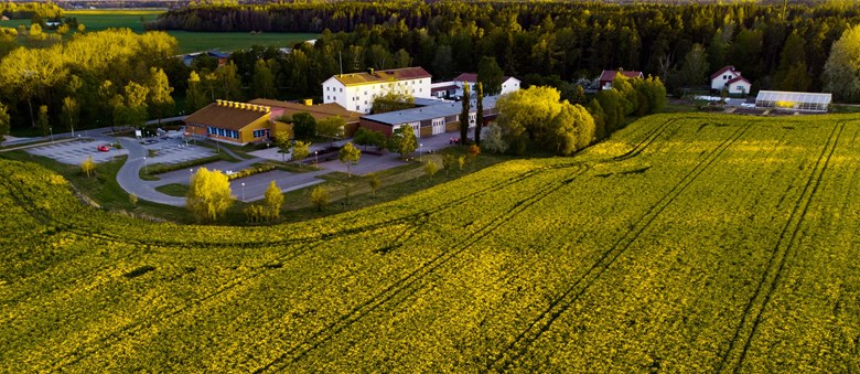 Naturbruksskolan i Uddetorp omringad av blommande rapsfält.