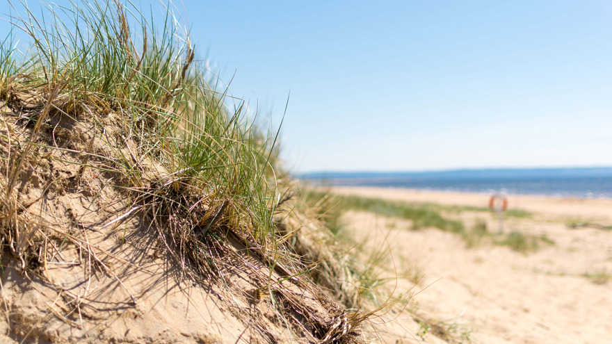 Gullbranna strand i Halland en solig sommardag. Himlen och havet är blå, den gula sandstranden ligger tom och tycks fortsätta långt bortom bilden. Till vänster, i förgrunden vajar gräs på en sandbank, i den oskarpa bakgrunden skymtar en livboj hängandes på en ställning.