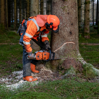 Person med hjälm och skyddskläder sågar motorsåg i en trädstam