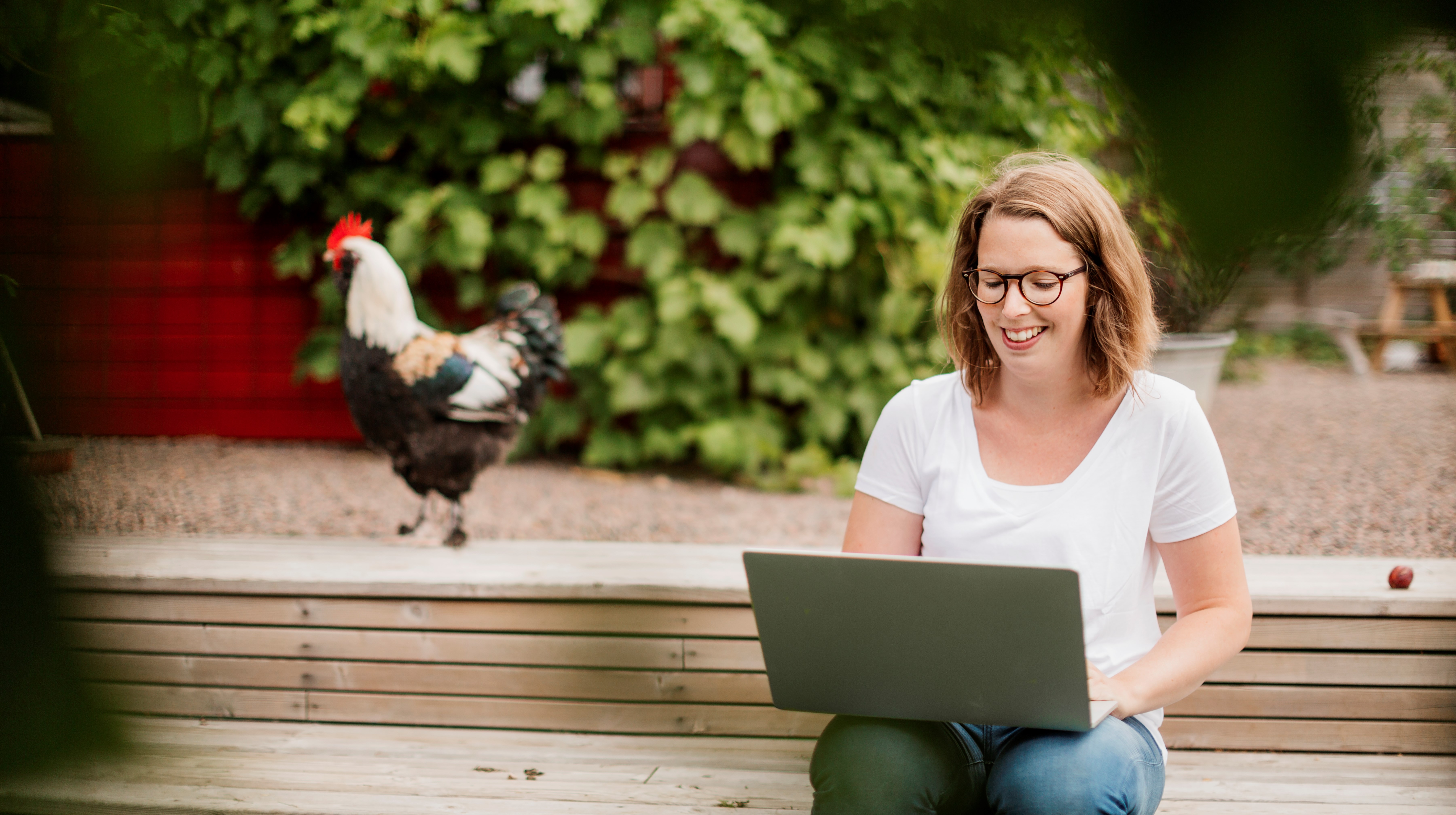 Kvinna vid laptop på en bänk med höns i bakgrunden
