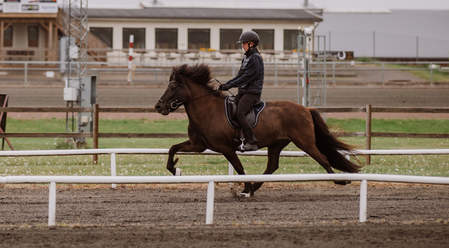 Elev rider flygande pass på islandshäst