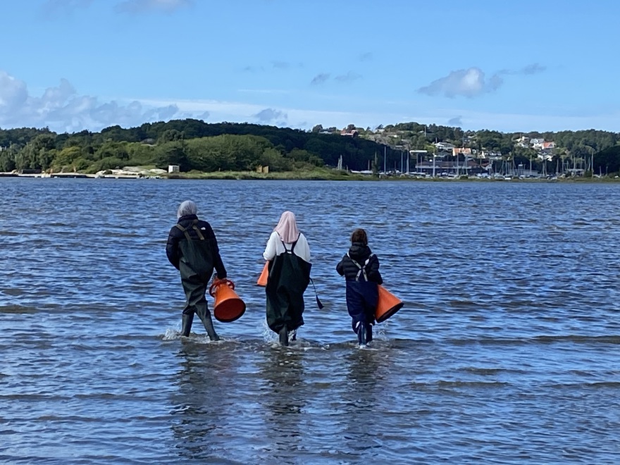 tre personer går i vatten med vattenkikare