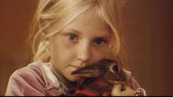 Bilder som tillhör filmhandledningar på Kulturförvaltningen VGR.