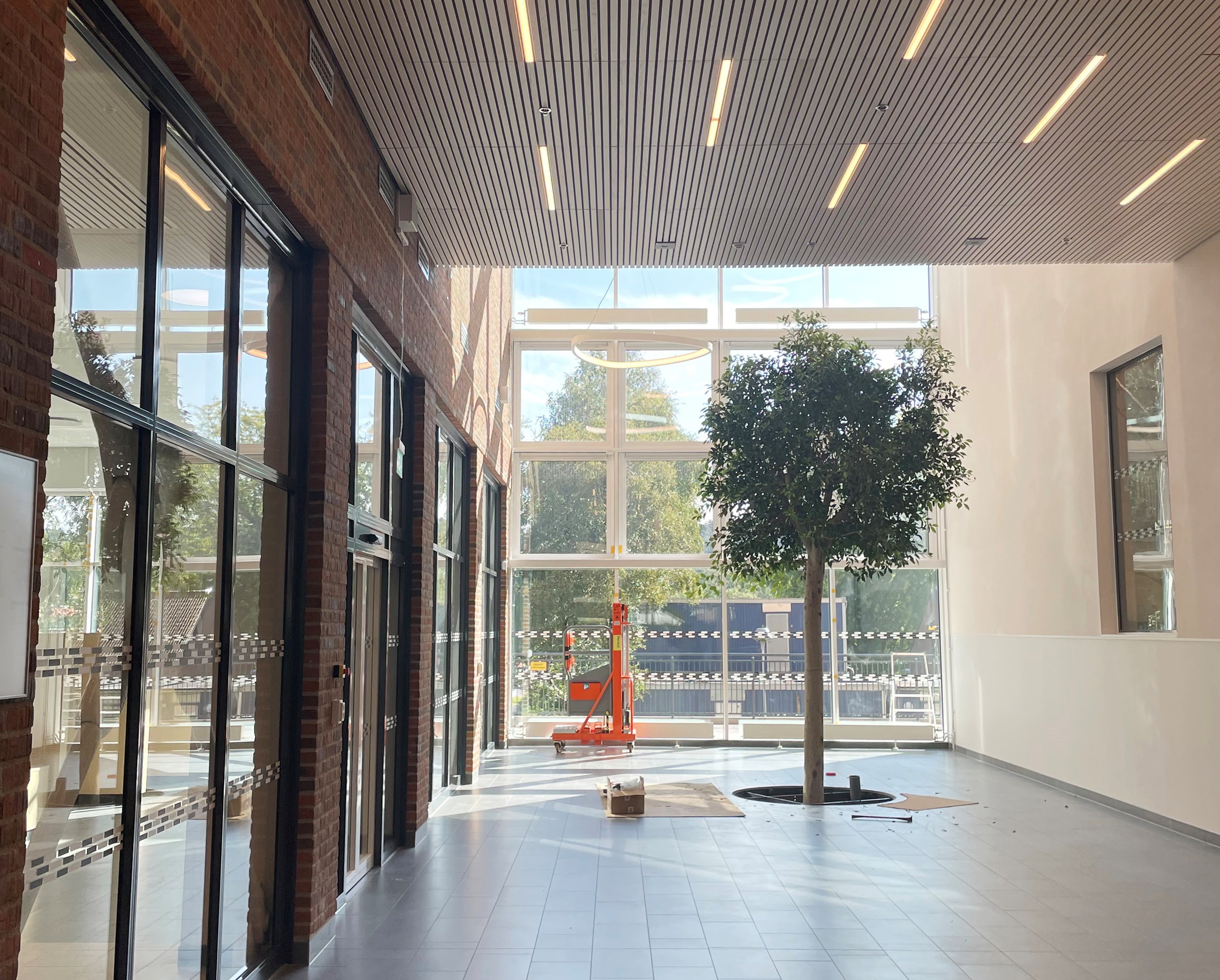 Träd innanför ett stort glasparti.