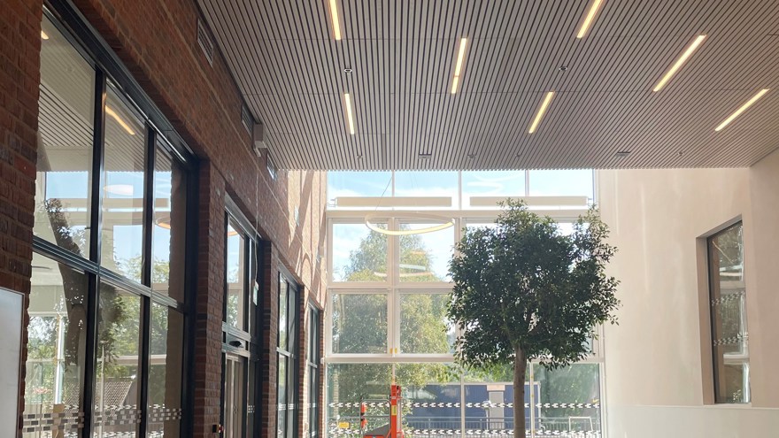 Träd innanför ett stort glasparti.