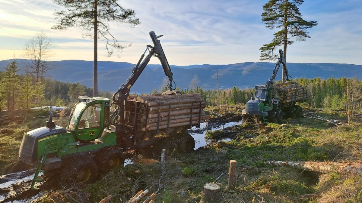 Två skogsmaskiner lastar timmer med bergsvy i horisonten