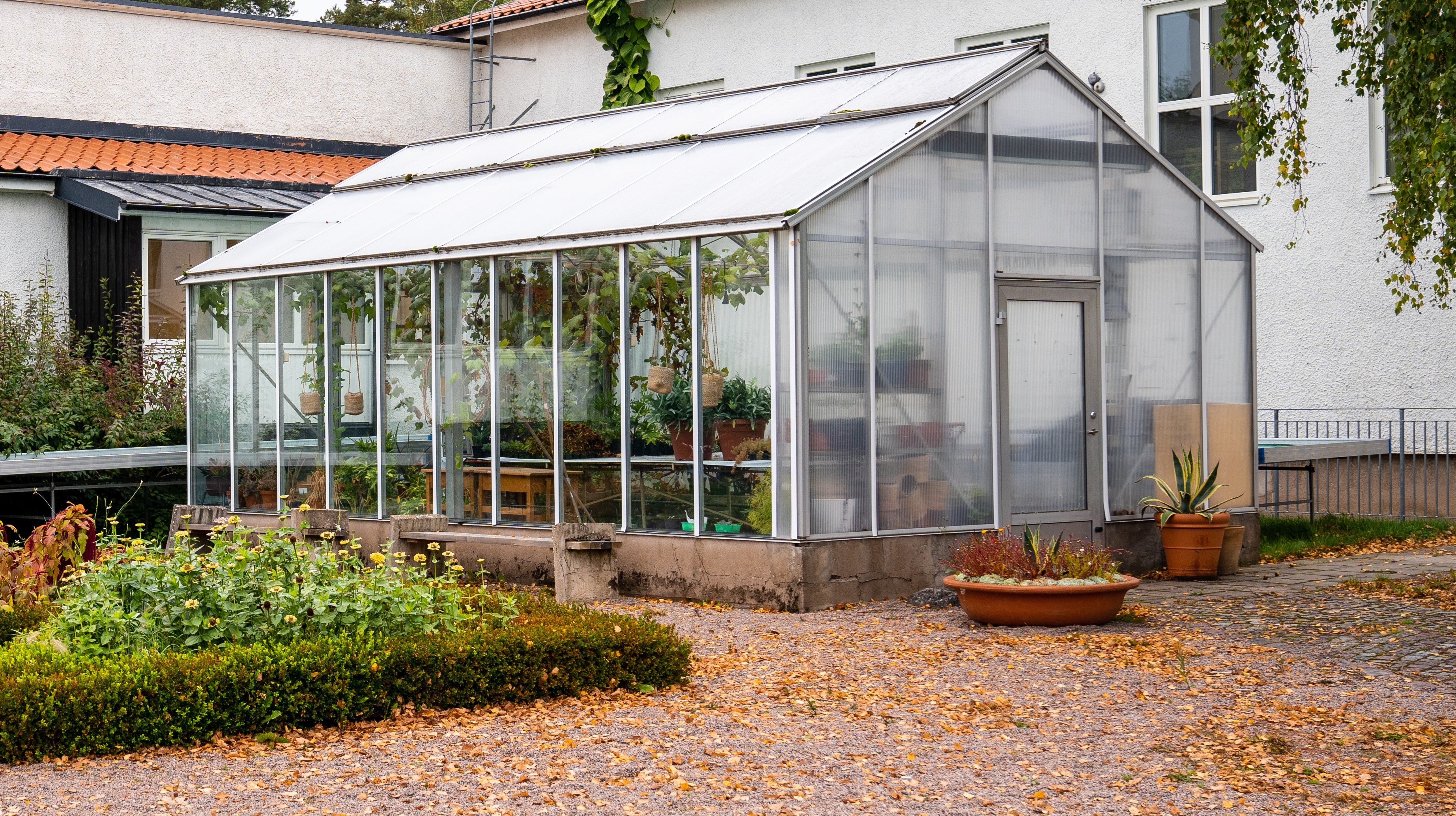 Växthus med vita byggnader bakom