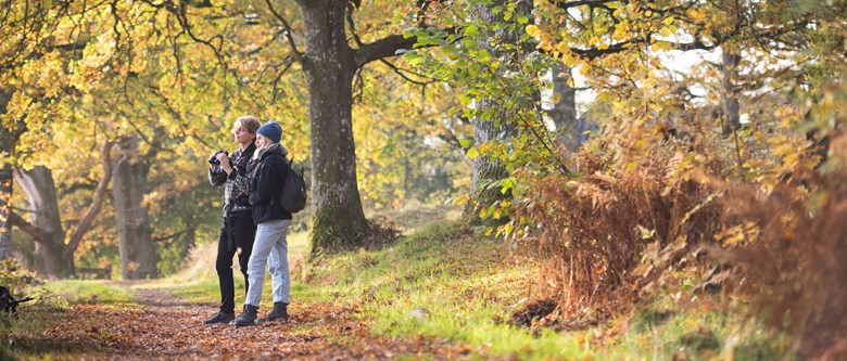 Två personer står på en stig i en höstfärgad skog