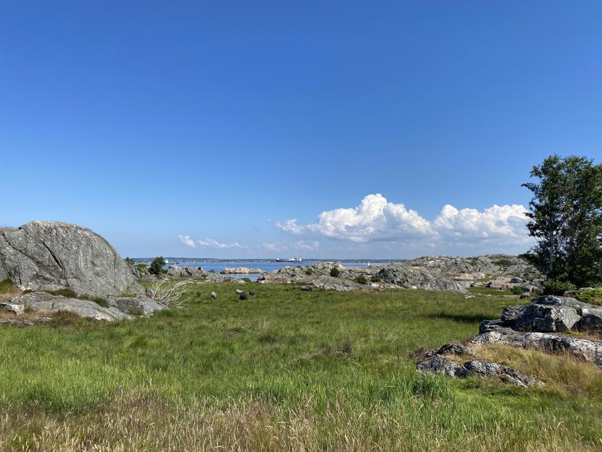 Klippor och strandäng