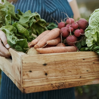 Händer håller i trälåda full med nyskördade grönsaker