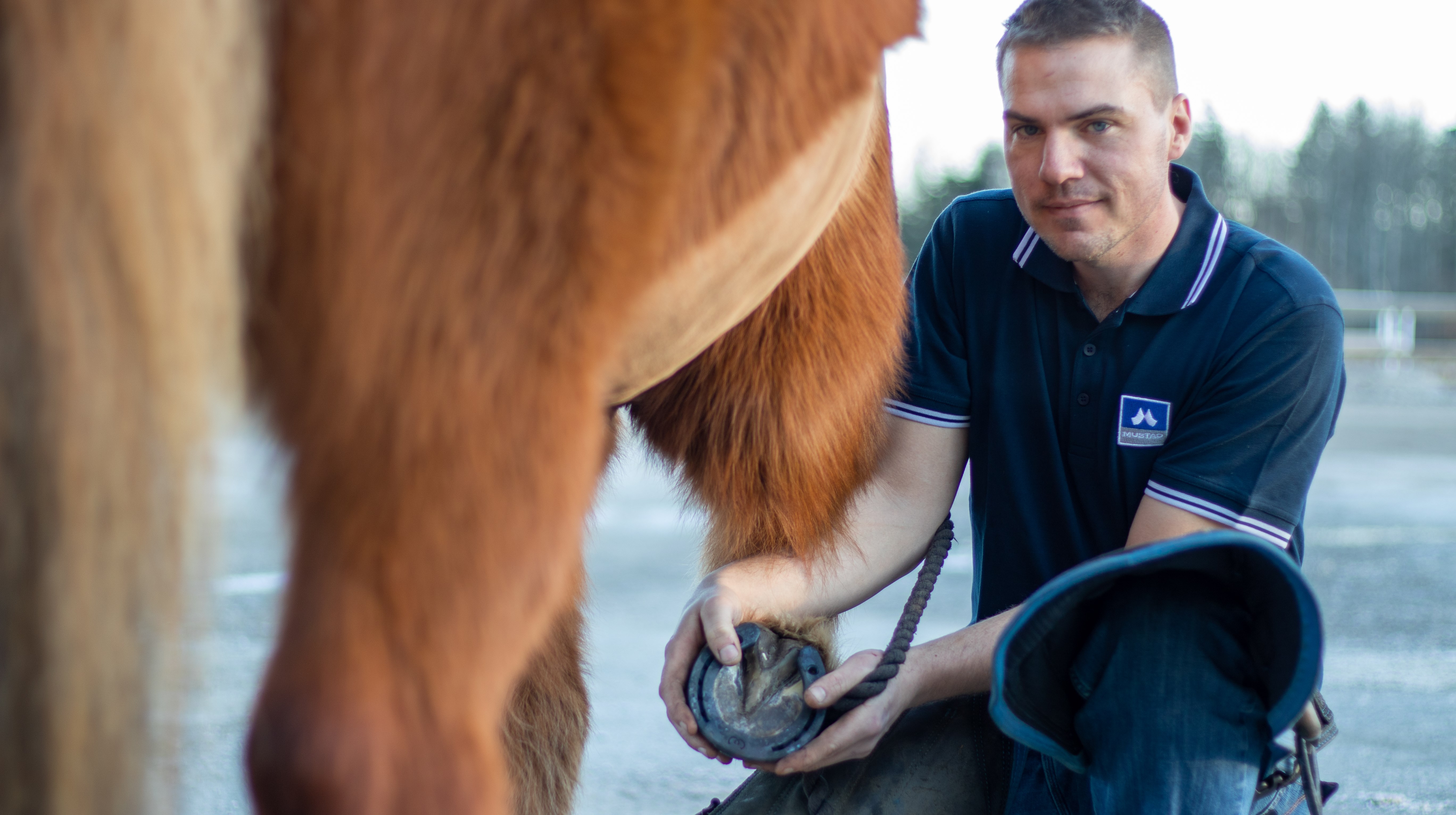 Hovslagarelev sitter ned bredvid islandshäst och håller upp hoven med en ny hästsko