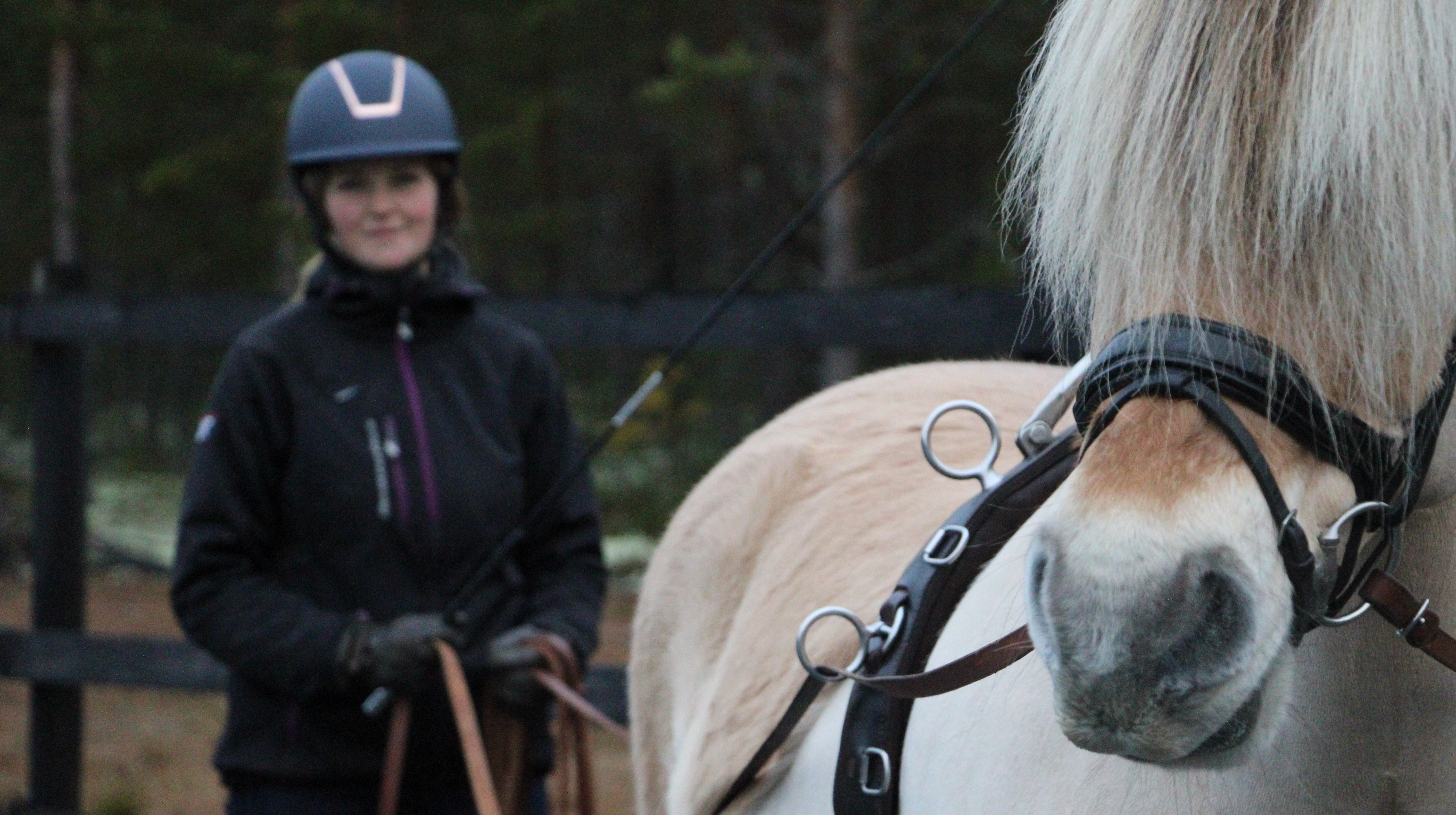 Kvinna med ridhjälm står bakom islandshäst och håller i tömmar