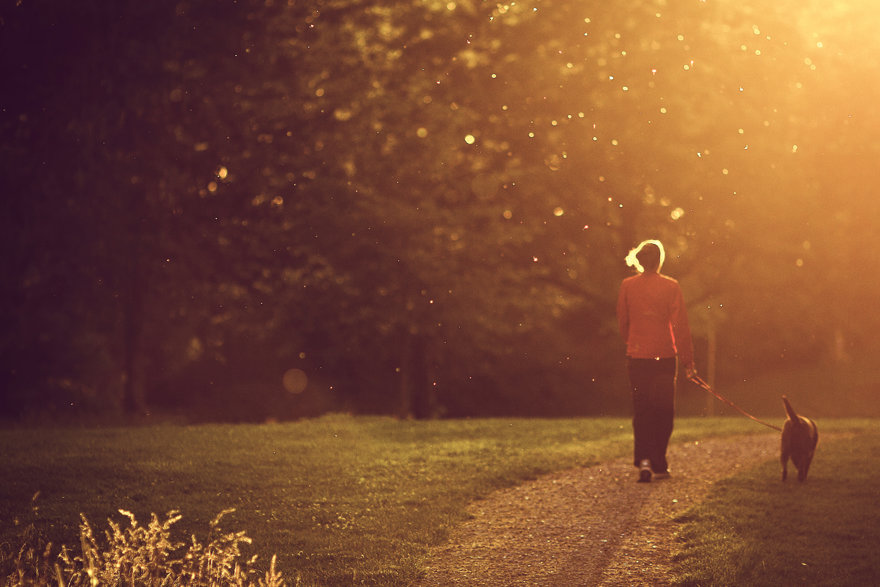 Kvinna promenerar med sin hund i en park i motljus