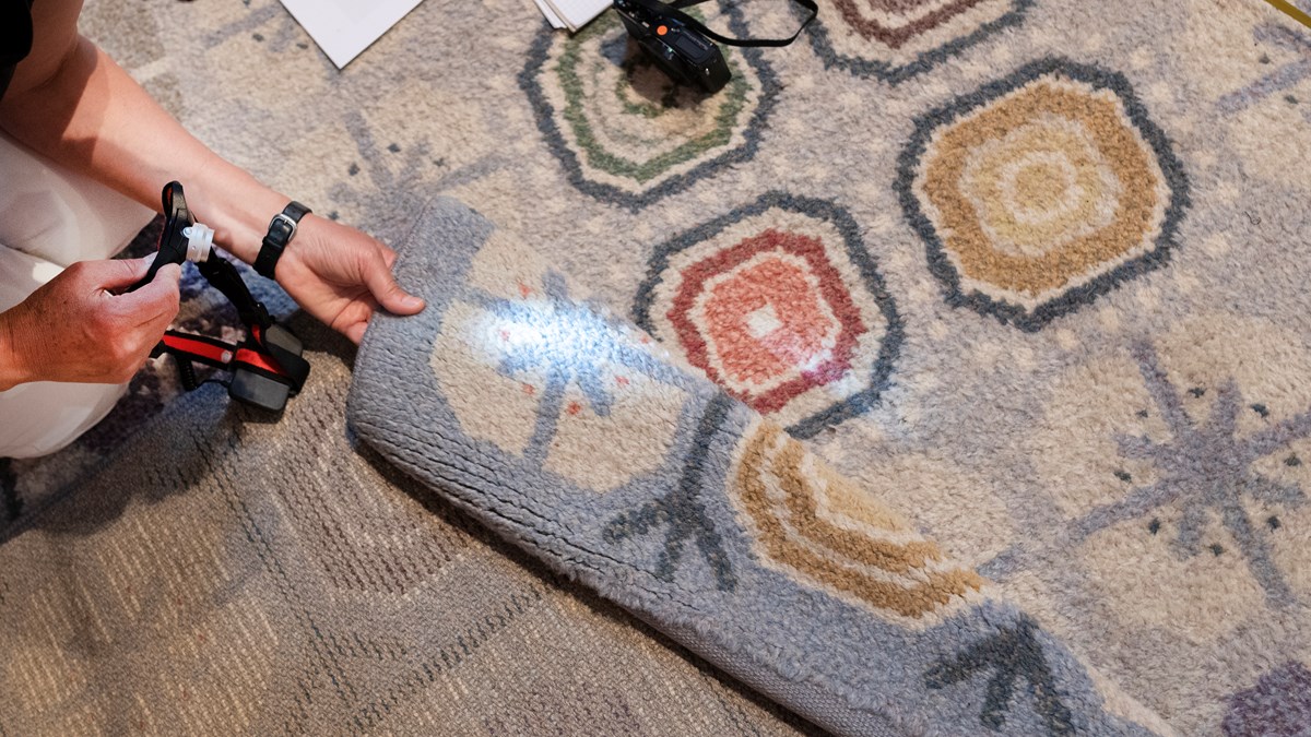 Ett par händer håller upp en bit av en ullmatta och lyser på den med en ficklampa. På mattan ligger också en liten kamera.