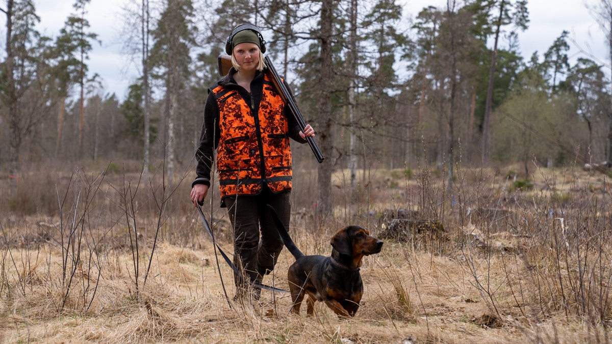 Elev med jaktkläder och gevär går i skogen med hund i koppel