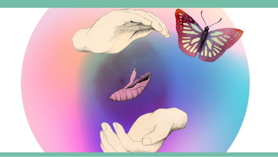 Illustration för AntiStressProgrammet - Två händer som håller om en tom fjärilspuppa och en fjäril som just kläckts.