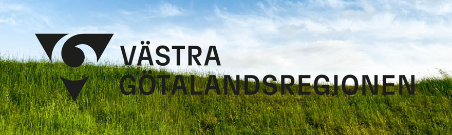 VGR logotyp mot orolig bakgrund