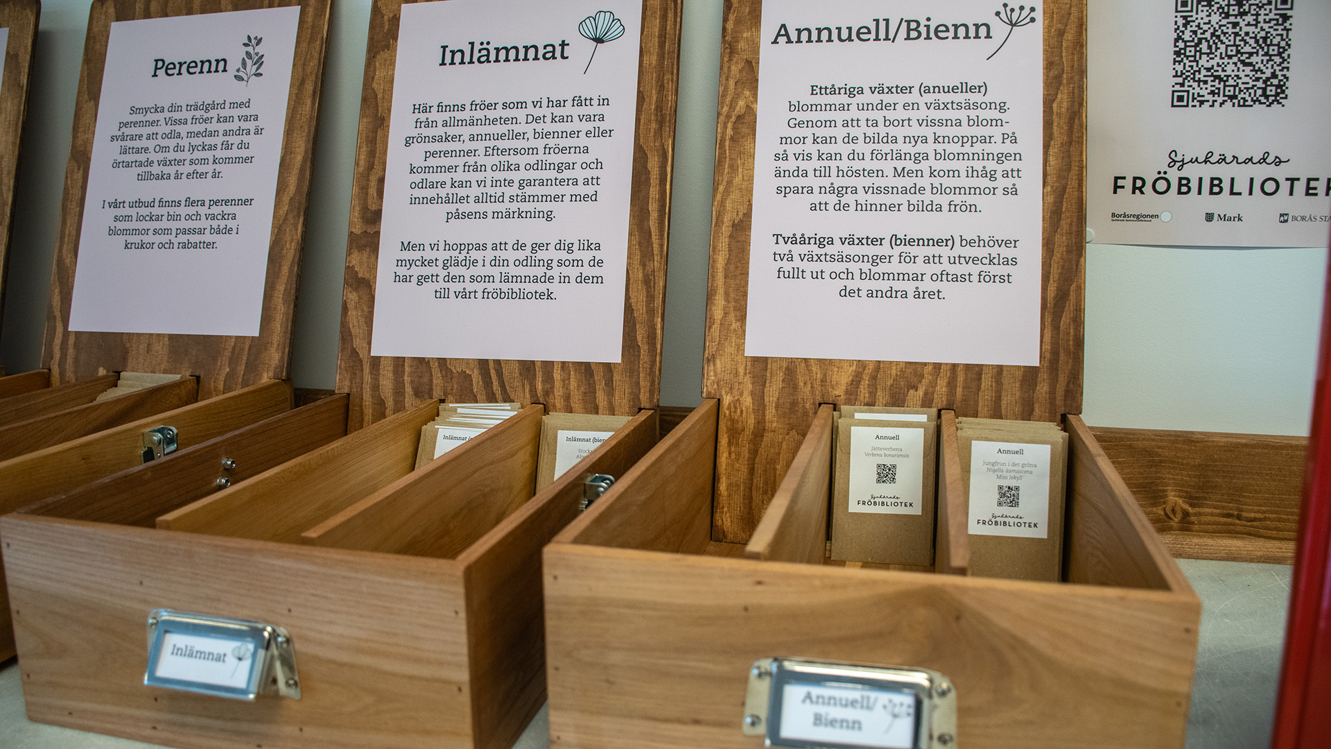Tre trälådor står med öppna lock. På locken står det Perenn, Inlämnat och Annuell Bienn. I lådorna ligger små bruna fröpåsar med etiketter på.